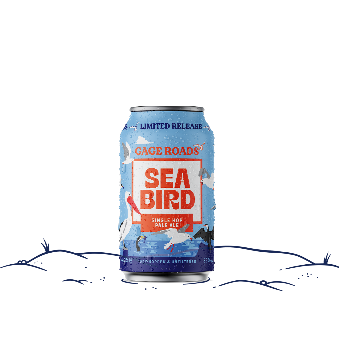 Sea Bird